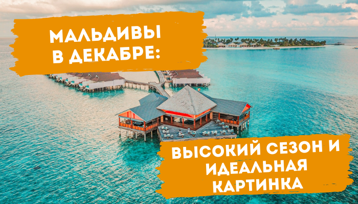 Мальдивы в декабре высокий сезон и идеальная картинка