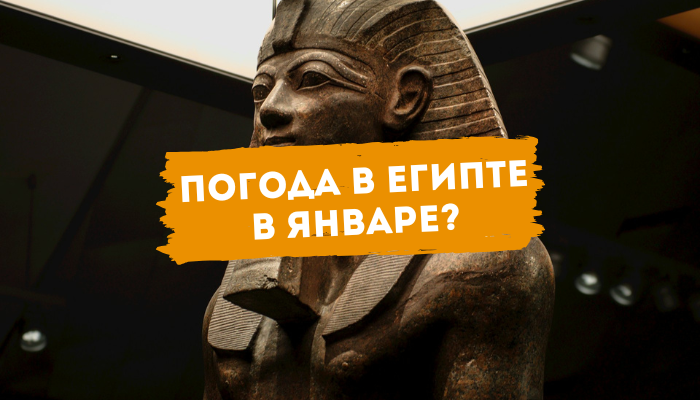 Погода в Египте в январе 2026 где теплее, стоит ли ехать и какой курорт выбрать